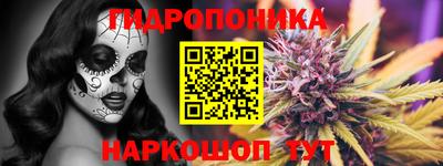 прущие крисы Донецк