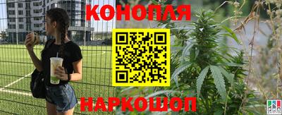 прущие крисы Донецк