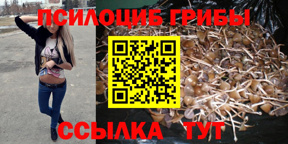 Галлюциногенные грибы мицелий  как найти наркотики  Псилоцибиновые грибы Cubensis  Пенза  Вход с VPN 