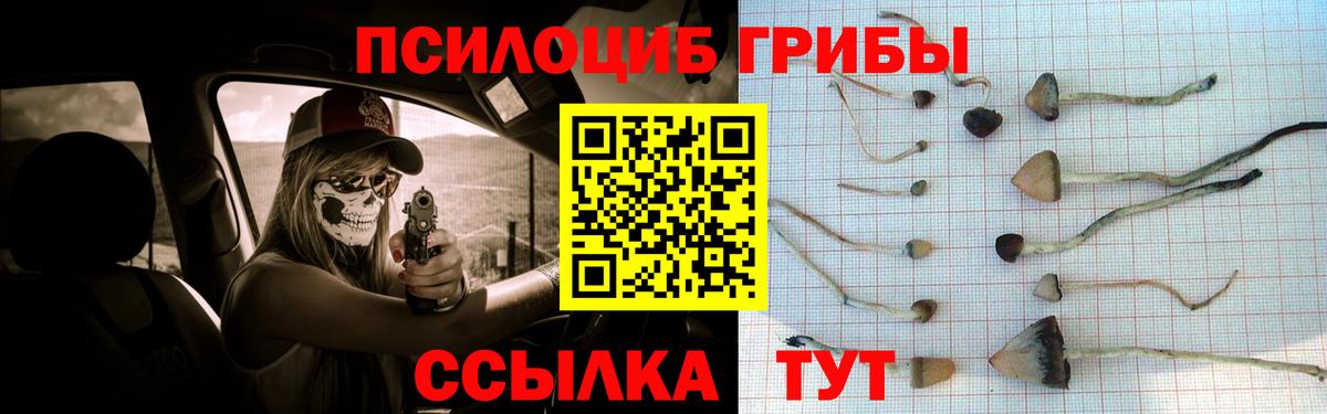 Галлюциногенные грибы прущие грибы Пенза